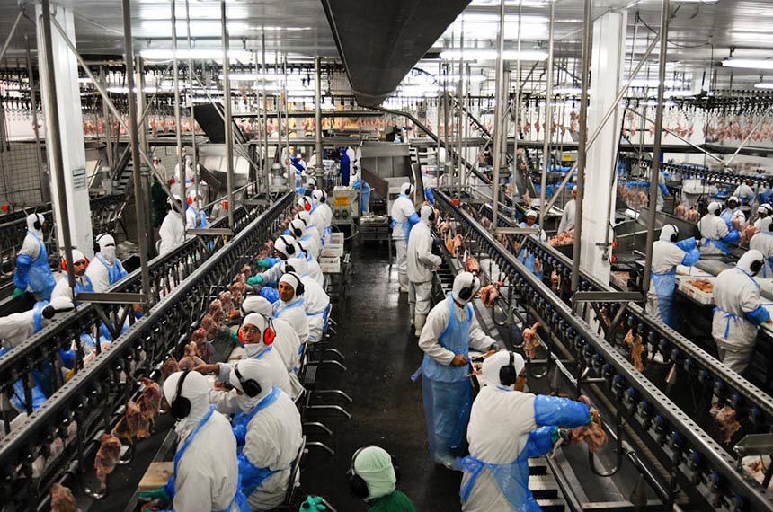 Por que os maiores frigorficos confiam no Ao Inox?