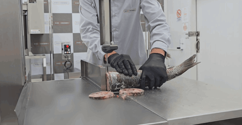 � poss�vel cortar peixe congelado com a serra fita?