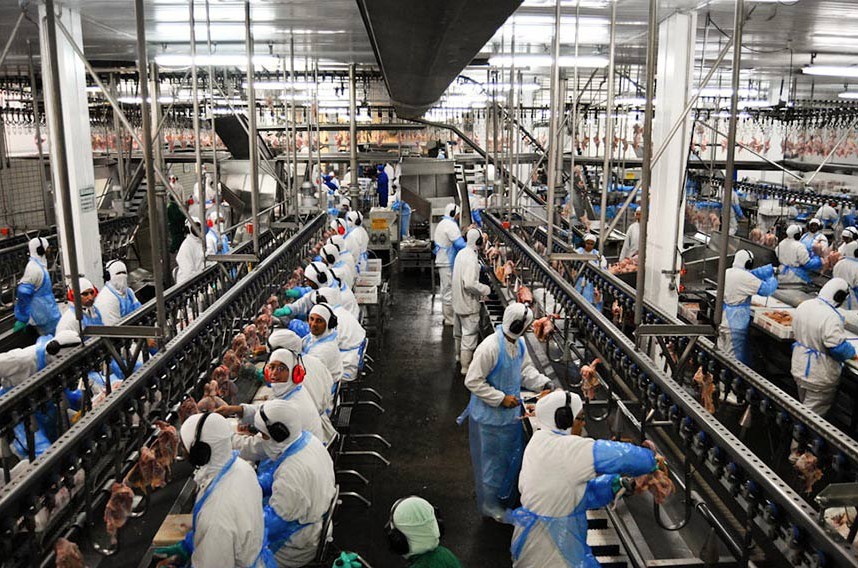 �Por qu� los frigor�ficos m�s grandes conf�an en el Acero Inox?