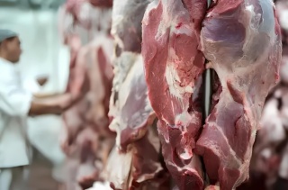Competitividade no setor aliment�cio: voc� consegue atender as exig�ncias do mercado?