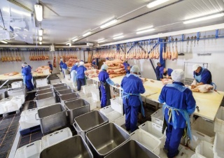 Sanitizao do aougue: qual  o impacto real sobre a produtividade?