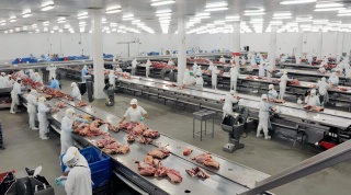 RDC 724: o Ao Inox 304 como um aliado na conformidade sanitria